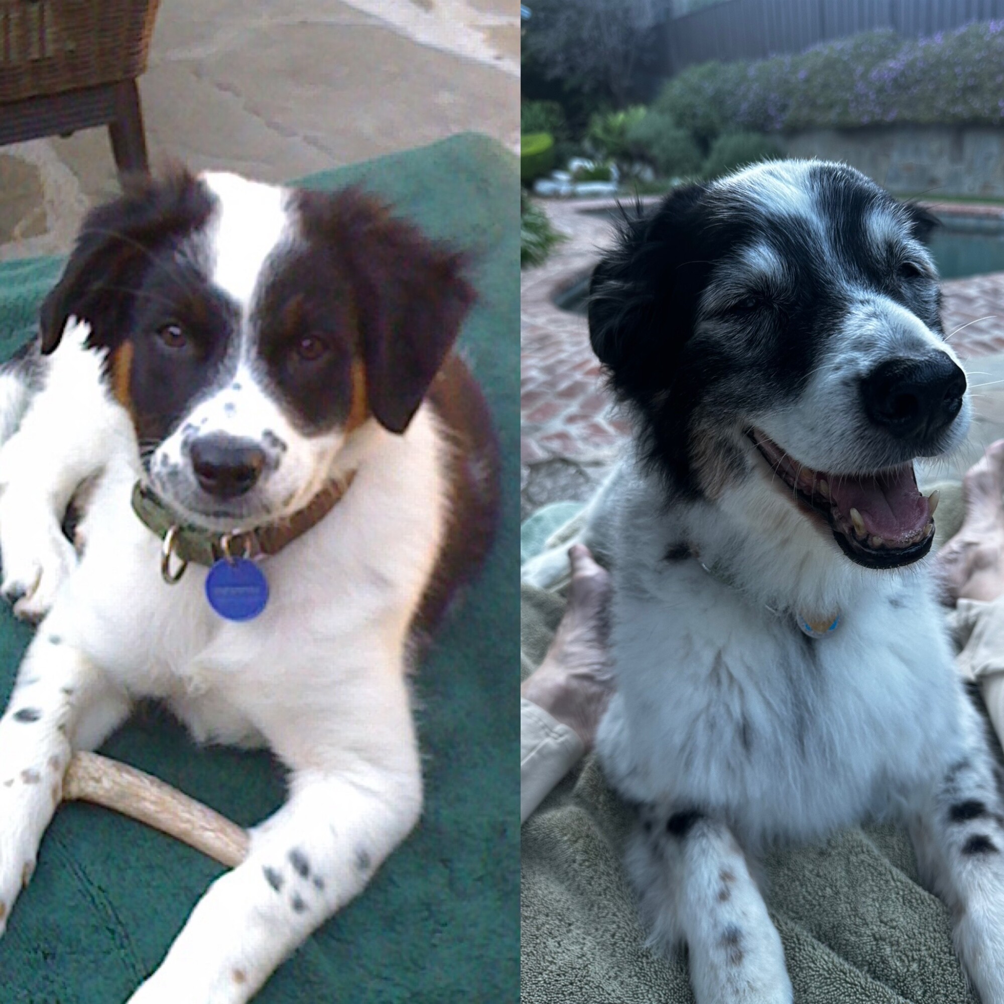 BEB8AD73-006C-41DE-8DDE-88D1DEECCD3A